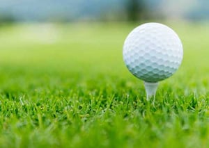Shoulder joint is like a golf ball on a tee