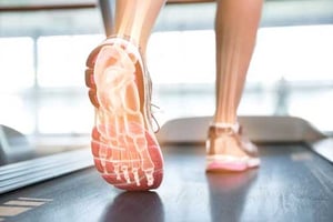 Bones of the foot while walking on treadmill