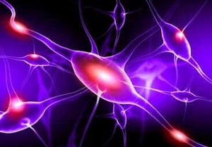 Sciatic nerve is irritable during sciatica 